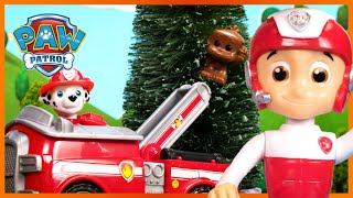 I cuccioli salvano un pomeriggio di gioco  PAW Patrol I cuccioli Episodi Giocattolo Italiano [upl. by Lundquist947]