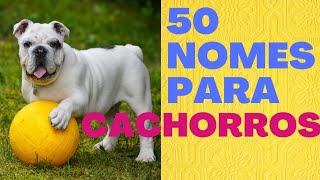 50 NOMES PARA CACHORROS  Lindos nomes para o dog Incredible  Atilla Bokor [upl. by Oinotla]