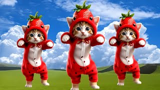 CAT Dance cute🥰 cat dance funny fyp [upl. by Refotsirk]