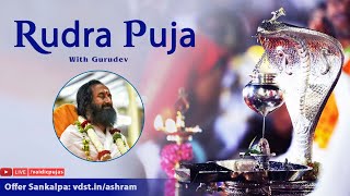 Mahalaya Amavashya spl Rudra Puja  02 Oct 2024  Live From VDS Bangalore Ashram [upl. by Edrei]