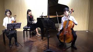 LV Beethoven Piano Trio No3 in C minor Op1 [upl. by Jolenta]