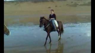 Un beau galop sur la plage en balade à cheval au Maroc [upl. by Im962]