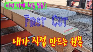 원목을 내입맛대로 만드는 기계 Wood Mizer LX150 sawmill first usage amp pallet making 미동부 바닷가 시골마을 [upl. by Renaud]