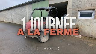 1 journée a la ferme [upl. by Billie]