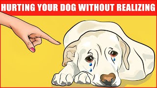 14 Ways You Are Hurting Your Dog Without Realizing It [upl. by Combes]