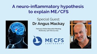 A Neuroinflammatory Model for MECFS a hypothesis [upl. by Ecirtra522]