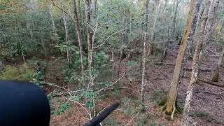 Florida wma hunt big buck down [upl. by Olive2]