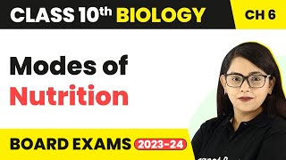 Nutrition in Amoeba and Human Beings  Life Process  Class 10th Biology [upl. by Mlohsihc]