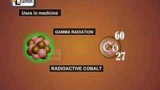 Uses of radioactive isotopes  Chemistry [upl. by Yeblehs333]