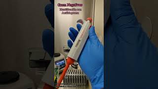 Gram Negativos Identificación con Antibiograma laboratorio bacterias microbiologia ciencia [upl. by Charmaine]