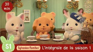 Dessin animé  Lintégrale de la saison 1  Sylvanian Families en Français [upl. by Zaslow]