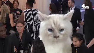 Jared Leto SURPRISES Lizzo 2023 Met Gala Guests in Giant Cat Costume [upl. by Hoes]