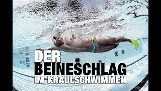 Kraulschwimmen Warum Beineschwimm Sets wichtig sind  SWIMAZING UNIVERSITY [upl. by Barolet]