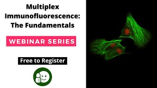 Multiplex Immunofluorescence mIF 101 The Fundamentals free webinar Pathology Hub [upl. by Anide604]