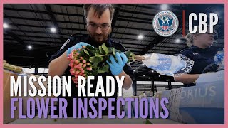 CBP Agriculture Specialist Inspect Flowers and More Preventing Unwanted Diseases and Pest  CBP [upl. by Mixam565]