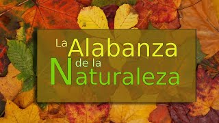 Semana 38  La alabanza de la naturaleza  Día 4 [upl. by Nnylyrehc]