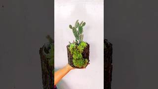 Give Your Cacti amp Succulents a Makeover DIY Tree Bark Planter amp Stunning Arrangement Hack [upl. by Esinev890]