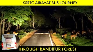 KSRTC AIRAVAT B9R BUS JOURNEY THROUGH BANDIPUR FOREST  Mudumalai Tiger Reserve🐯 [upl. by Alisha845]