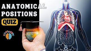 Anatomical Position and Directional Terms Quiz❓ [upl. by Ynnek305]