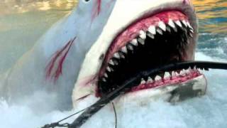 Jaws 2  The Terrifying Sail Boat Attack [upl. by Eloisa]