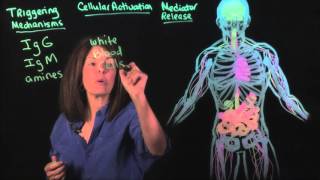 Best Food Sensitivity Test IgG vs MRT [upl. by Irita]