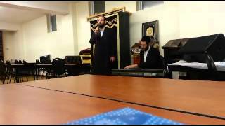 Shulem Moshe Freund Singing Nigun Hastureh At a Mlava Malka ניגון הסתרה שלום משה פריינד [upl. by Margetts]