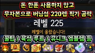 메이플스토리 맑음 하이퍼 버닝 돈 한푼 사용하지 않고 무자본으로 버닝서버 220레벨 찍기 완벽 공략 꿀팁  육성루트  유니크 엠블렘  2023 겨울 버닝 스텝업 미션공략 [upl. by Onaicnop45]