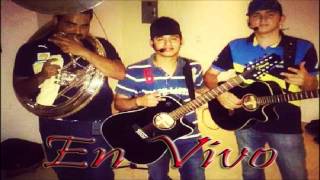 El Ingeniero  Ariel Camacho Y Los Plebes Del Rancho En Vivo [upl. by Possing338]