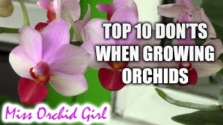 Top 10 DONTs when Growing Orchids  tips for orchid beginners [upl. by Htebsle]