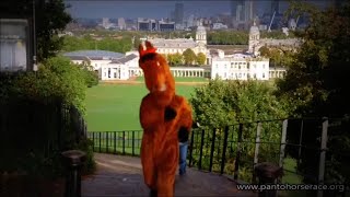 Rocky 2 Training Parody The London Pantomime Horse Race 2019 [upl. by Atsirak]