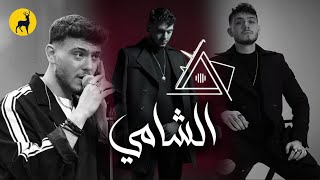 كوكتيل أغاني الشامي Al shami mix  2025 [upl. by Ingles251]