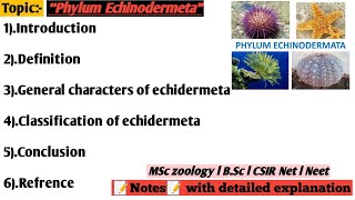 phylum Echinodermetagenaral character and classification of echidermetaechidermeta [upl. by Yhtac418]