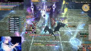 FFXIV  E5S SMN PoV 19749 rDPS  726 [upl. by Anidam]