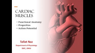 Chapter 9 Guyton Cardiac action potential Properties of Cardiac Muscles Functional Anatomy [upl. by Tully]