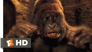 Dolittle 2020  Gorilla vs Tiger Scene 710  Movieclips [upl. by Enoid597]