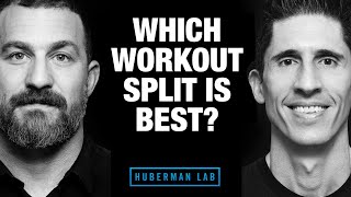 Which Workout Split is Best ft Huberman Lab Podcast [upl. by Crofoot]