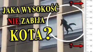 Z Jakiej Wysokości Może Bezpiecznie Spaść KOT [upl. by Noirda897]