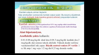 İLAÇLAR VE YÜKSEK RİSKLİ İLAÇLARIN ETKİ  YANETKİ VE DOZ HESAPLAMALARI ARTERİYEL MONİTORİZASYON [upl. by Sierra562]