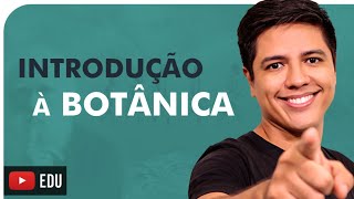 INTRODUÇÃO À BOTÂNICA  Briófitas Pteridófitas Gimnospermas e Angiospermas  Prof Kennedy Ramos [upl. by Dillon773]