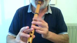 Sarias song  Lost woods  Quena flute [upl. by Annawak223]