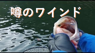 釣りグラビティ＃12 冬の津久井湖 バスフィッシング バス釣り ライブスコープ garmin ワインド [upl. by Htnnek153]