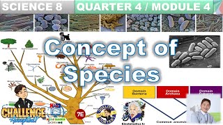 Understanding and building phylogenetic trees  High school biology  Khan Academy [upl. by Asoj]