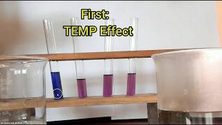 Testing for Carbon dioxide and Water [upl. by Camila]