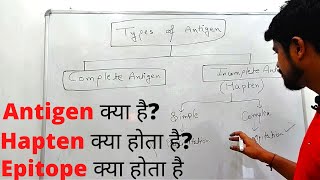 Antigen एंटीजन  Types of Antigen  Hapten  Epitope  Hindi [upl. by Maddeu433]