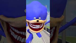 ALL SONIC TAPES CHAOS FAMILY  AMY TAPES  KNUCKLES TAPES  SHADOW TAPES  ZOOKEEPER in Gmod shorts [upl. by Aitnuahs873]