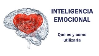 Inteligencia Emocional qué es y cómo utilizarla [upl. by Notlit]