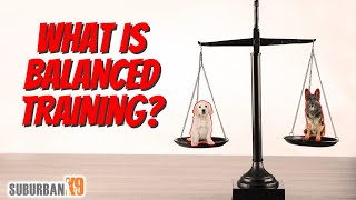 What is Balanced Dog Training Plus an In Depth Explanation of Operant Conditioning [upl. by Ib]