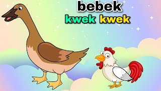 Bebek Kwek Kwek Bebek Nyosor Lagu Anak Anak Lucu [upl. by Beryl]