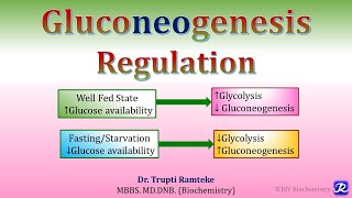 16 Gluconeogenesis Regulation  Carbohydrates metabolism  Biochemistry NJOY Biochemistry [upl. by Emmie365]