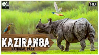 काजीरंगा राष्ट्रीय उद्यान Kaziranga National Park  Paradies Of Rhinoceros  World Documentary HD [upl. by Zzaj]